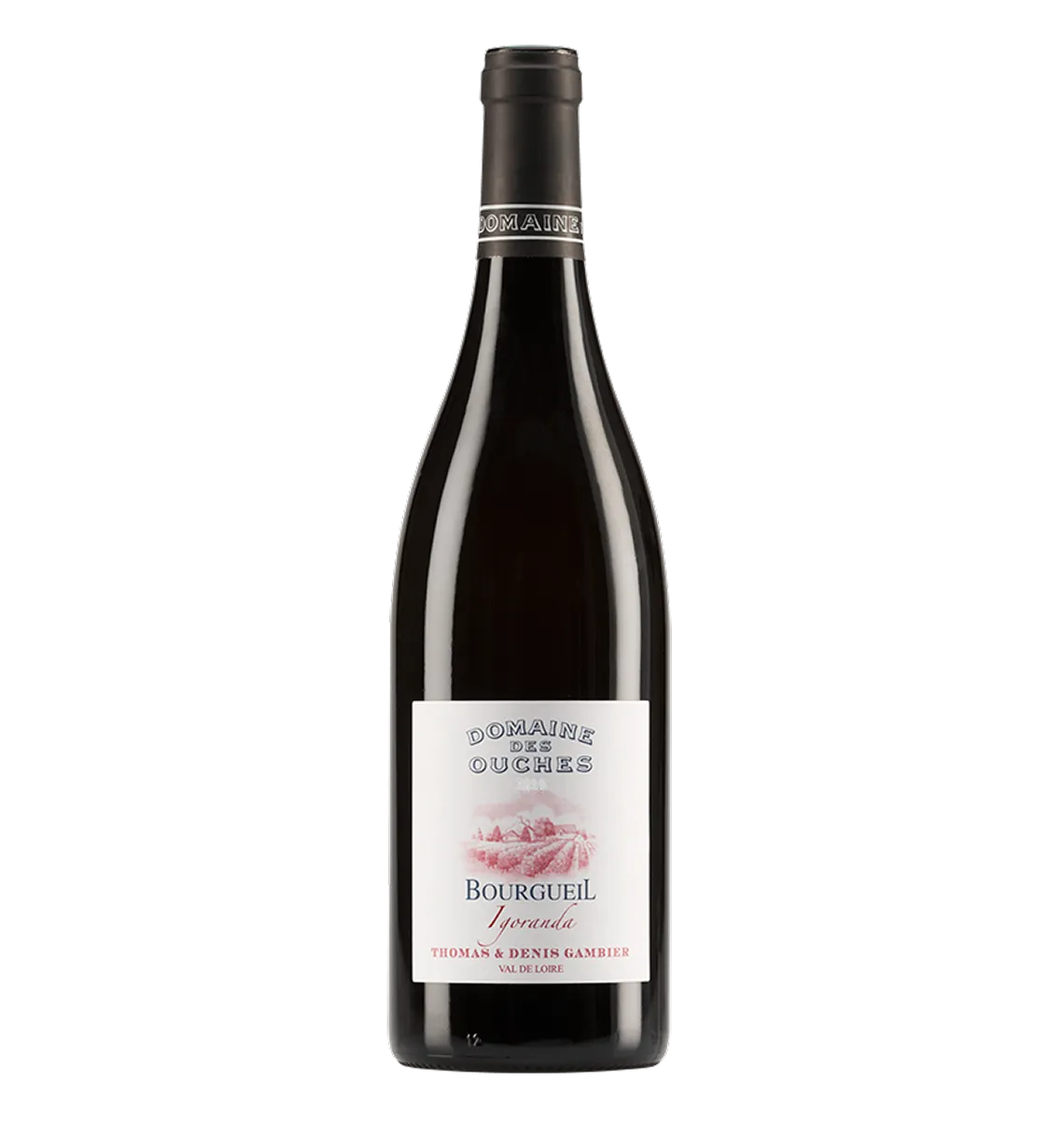 IGORANDA ROUGE 2023 AOC BOURGUEIL